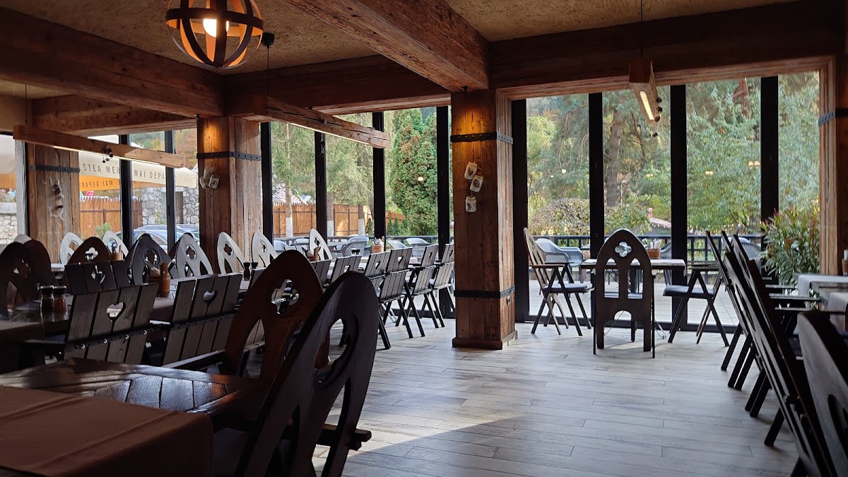 Sub Cetate Sergiana - foto 4