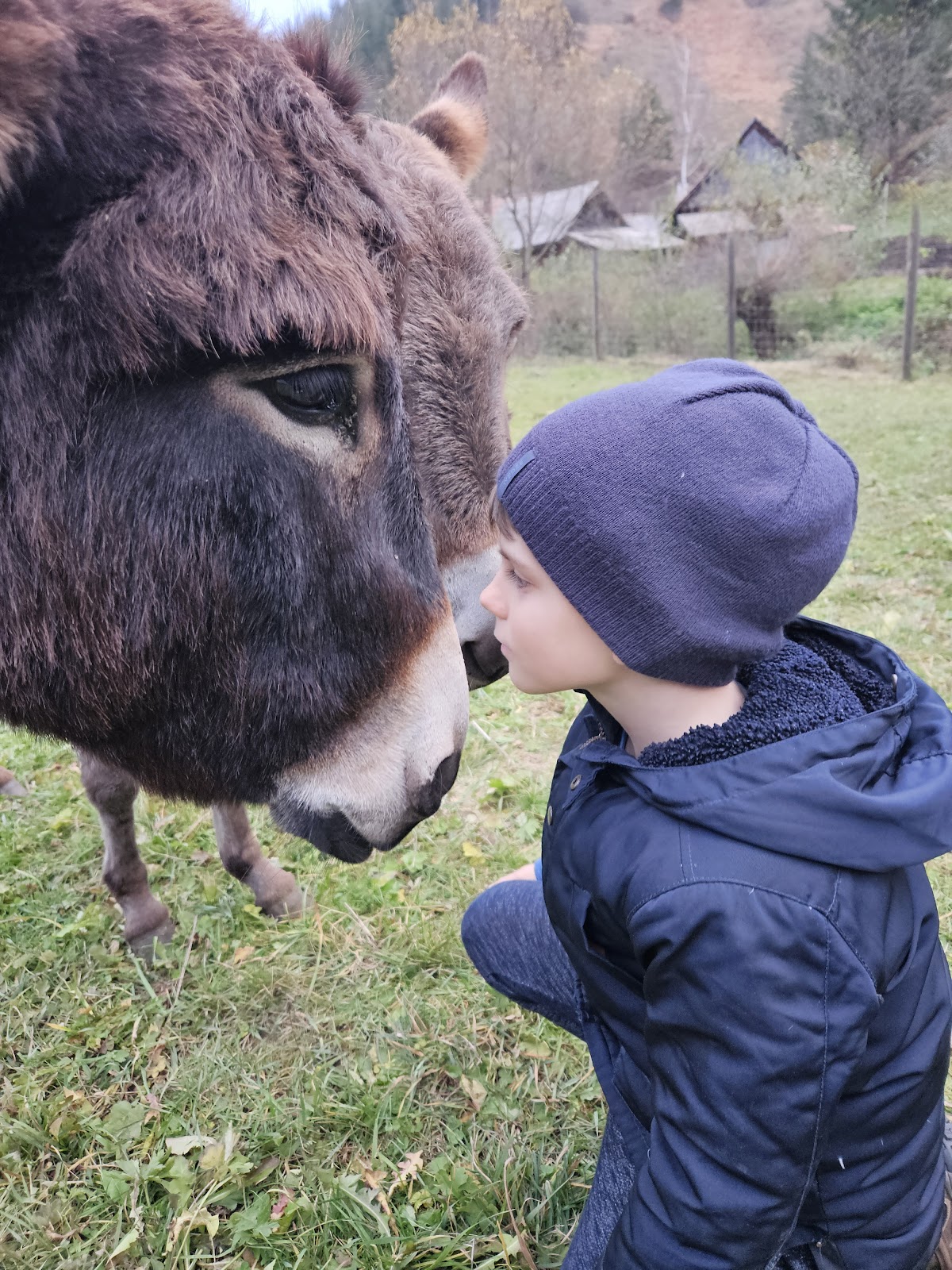 Șura cu Măgărițe - foto 3