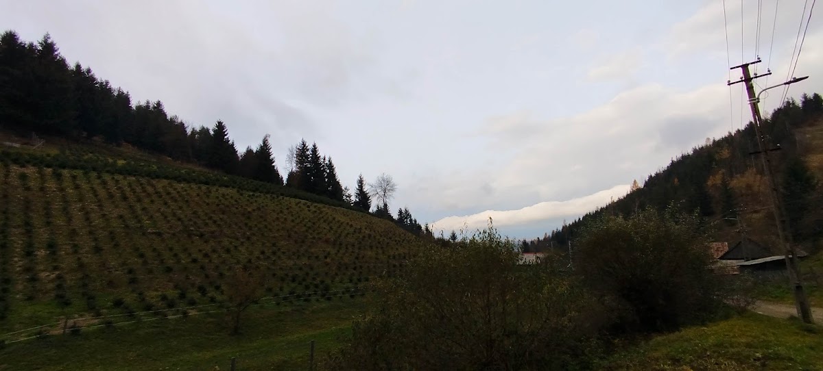 Șura cu Măgărițe - foto 5