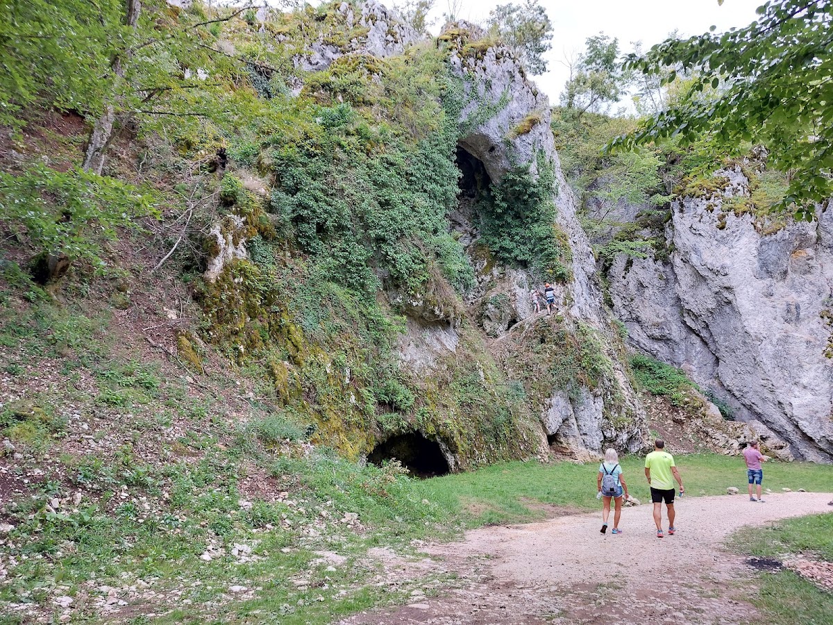 Şura Uşorilor