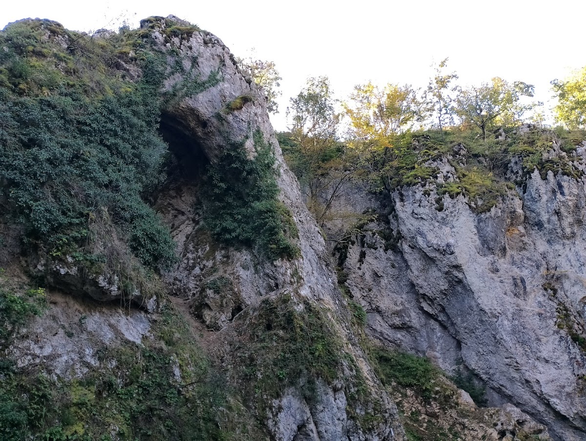 Şura Uşorilor - foto 3