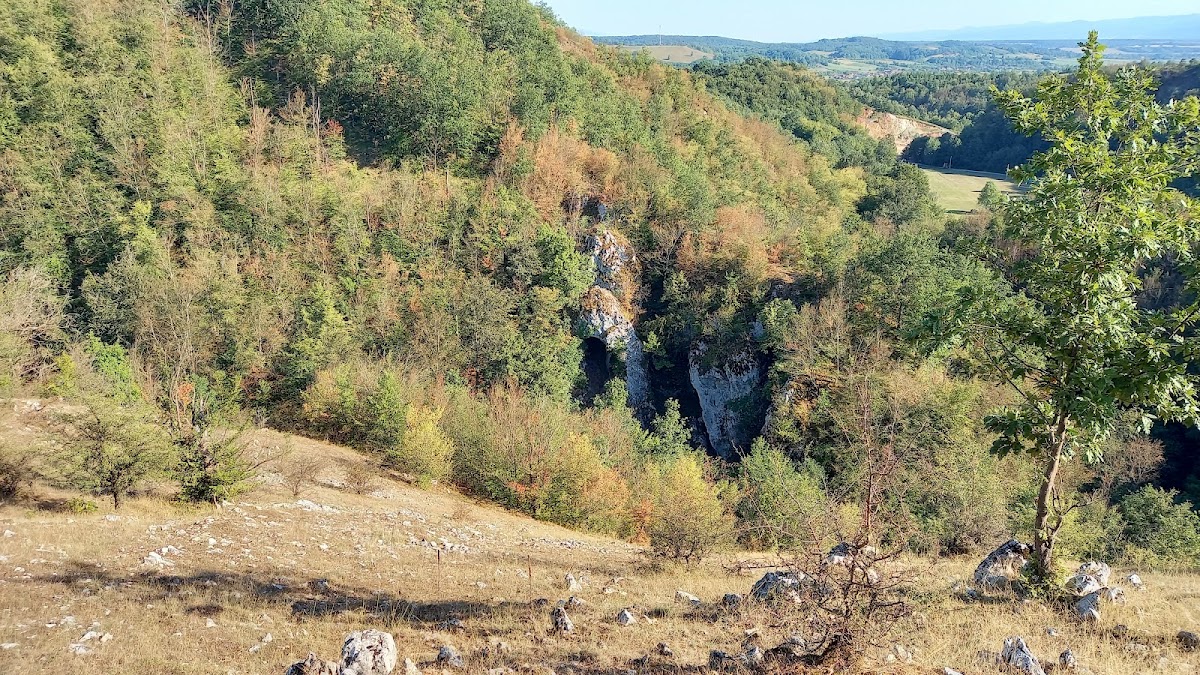 Şura Uşorilor - foto 4
