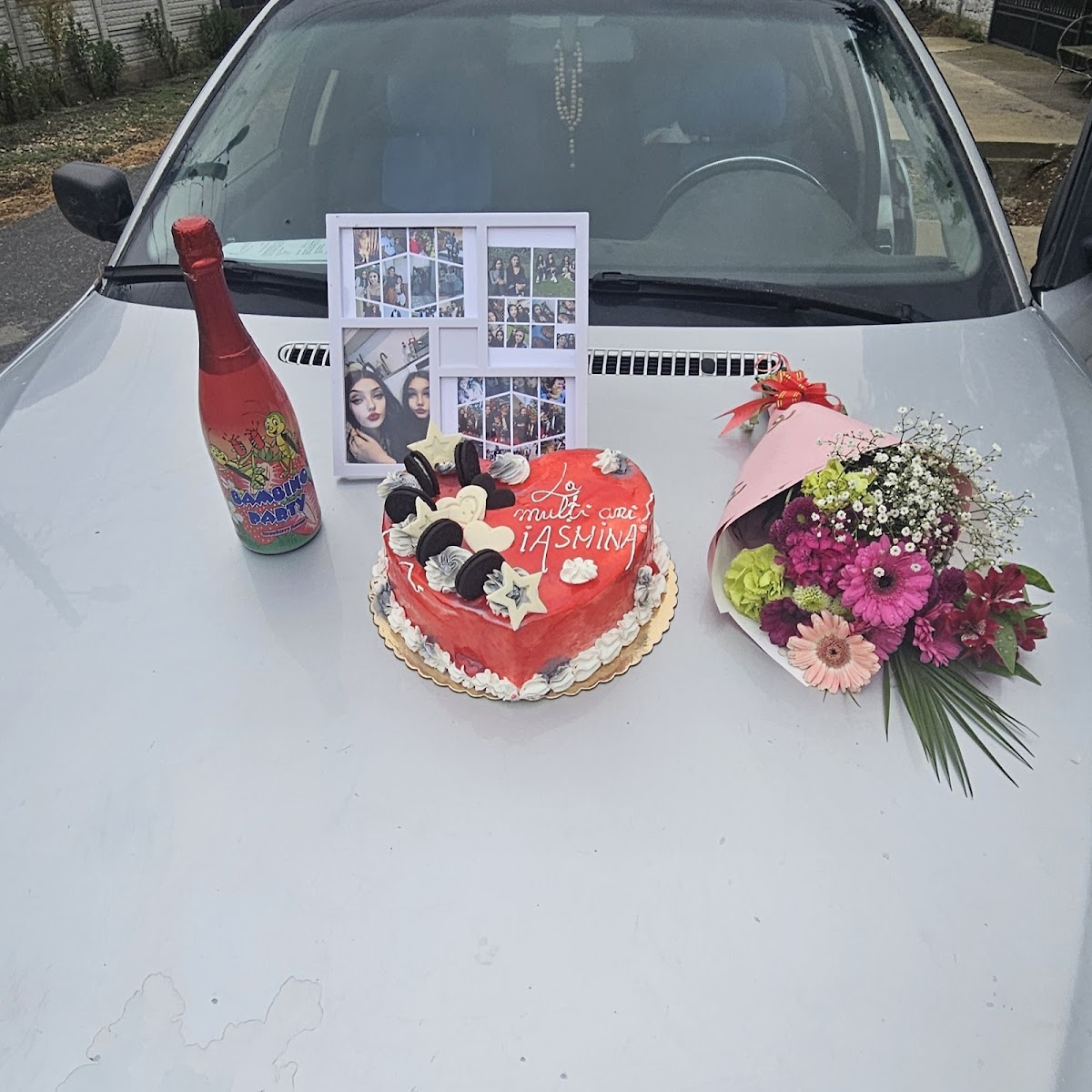 Surprize Segarcea - foto 3