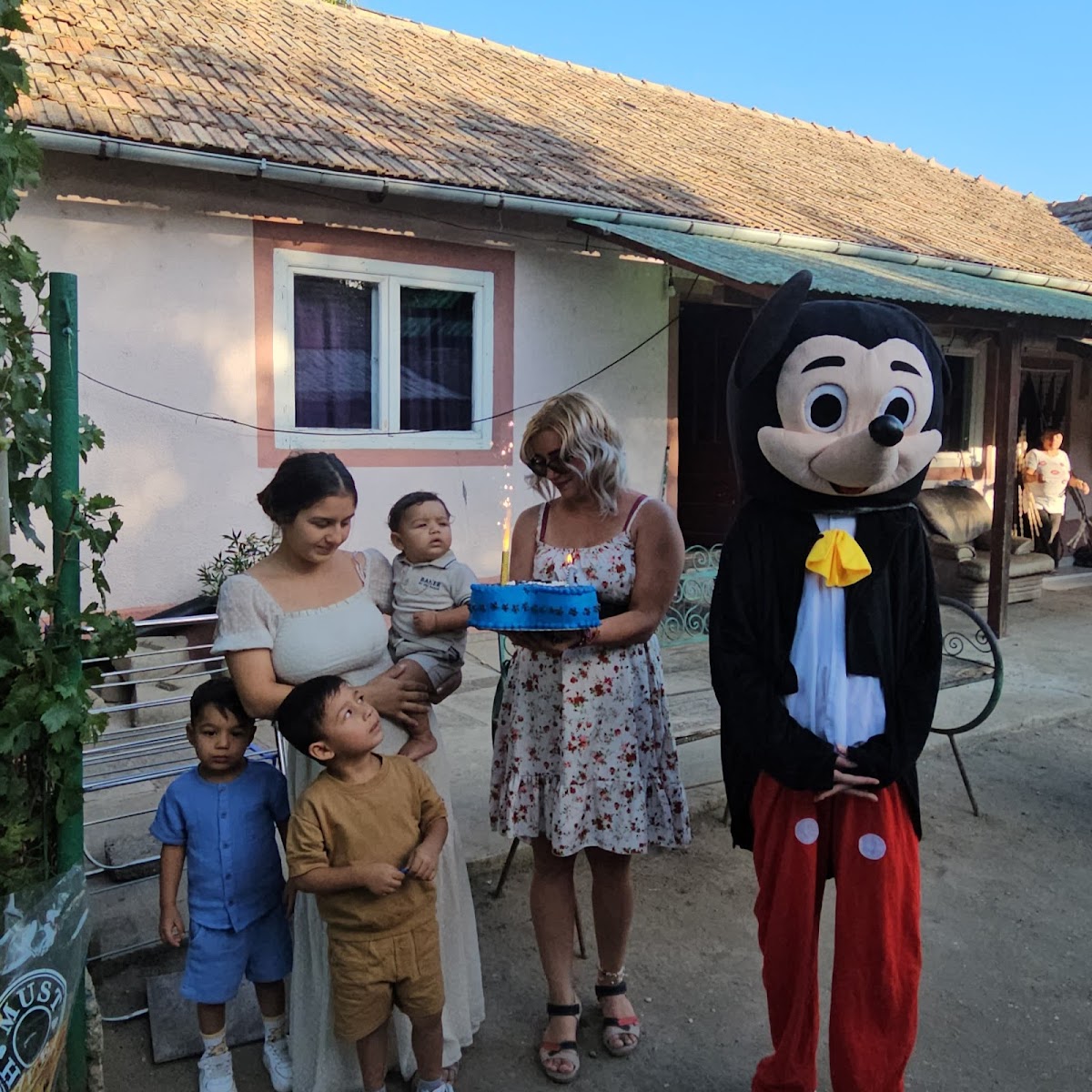 Surprize Segarcea - foto 4