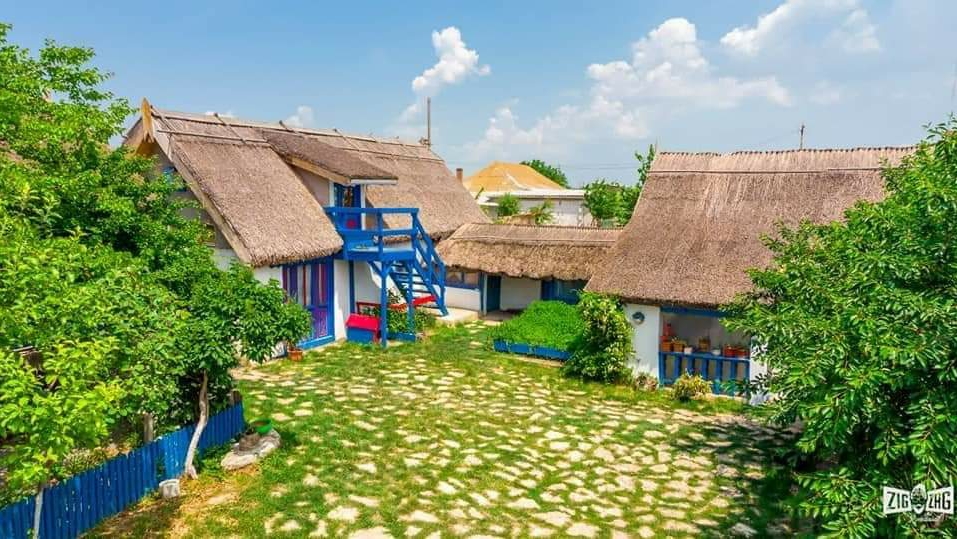 Vişina