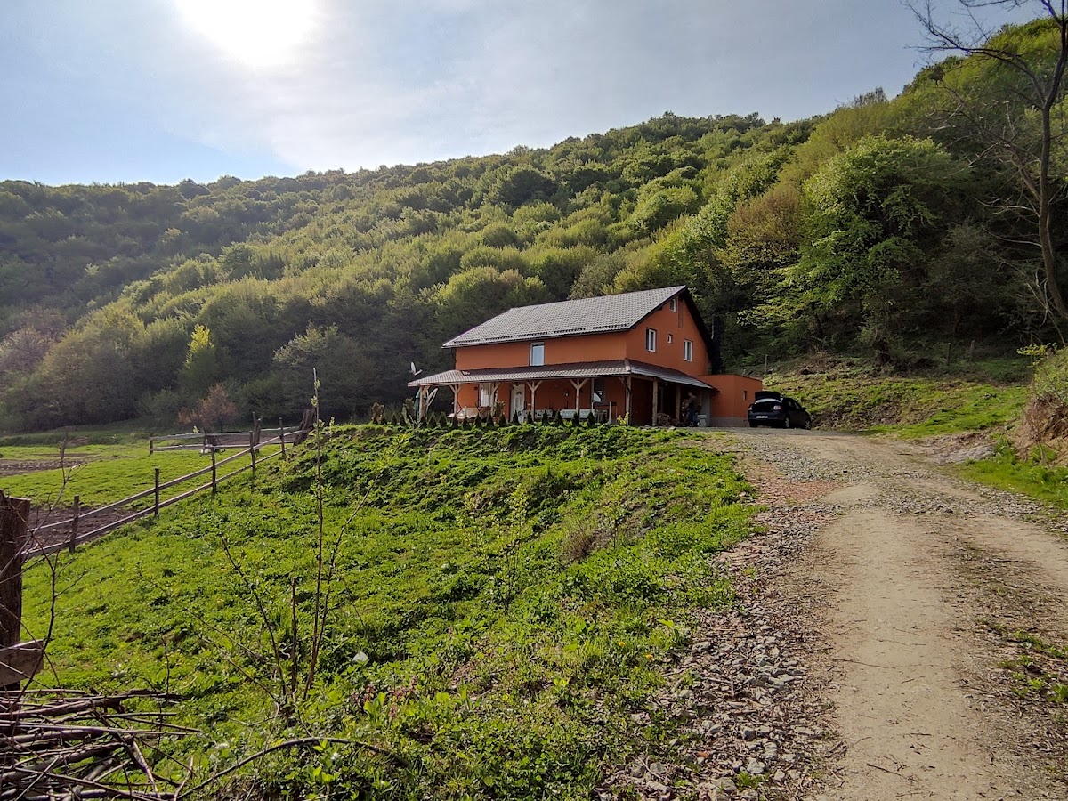 TABARA ARHEOLOGICA TILISCA - foto 1