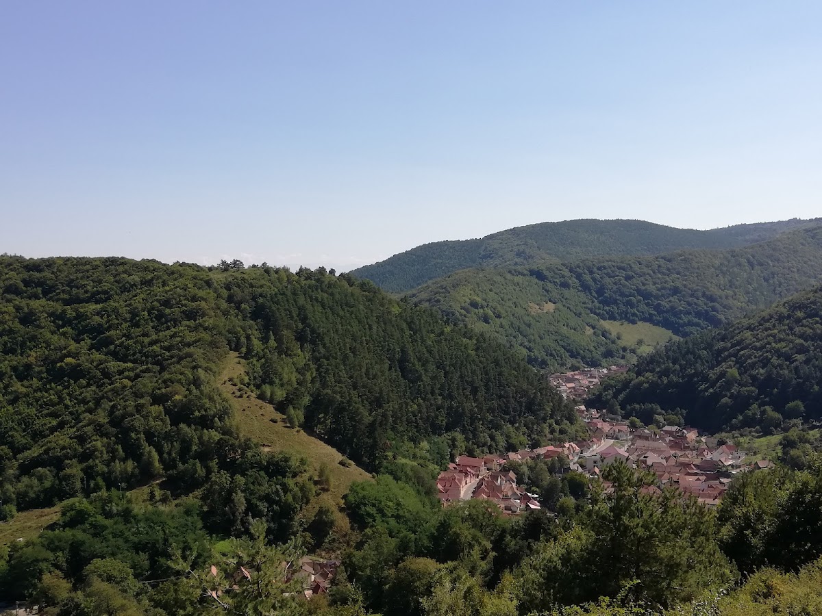 TABARA ARHEOLOGICA TILISCA - foto 2