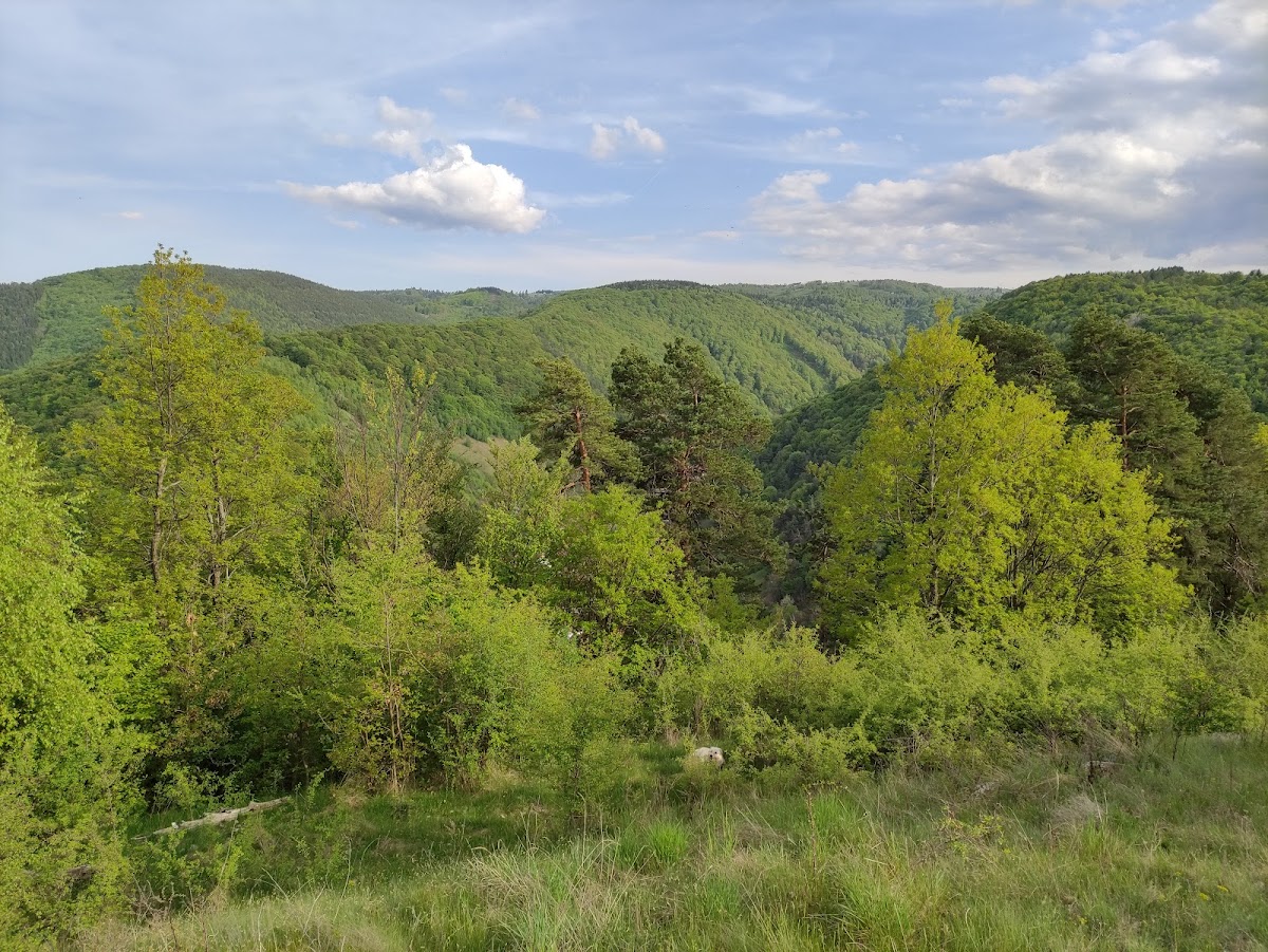 TABARA ARHEOLOGICA TILISCA - foto 3