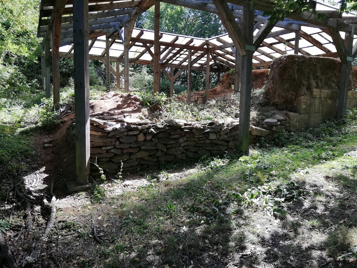 TABARA ARHEOLOGICA TILISCA - foto 4