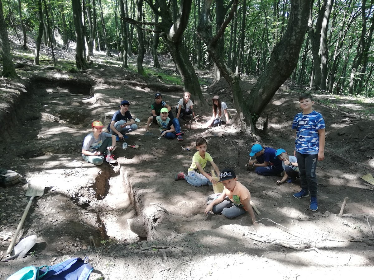 TABARA ARHEOLOGICA TILISCA - foto 5