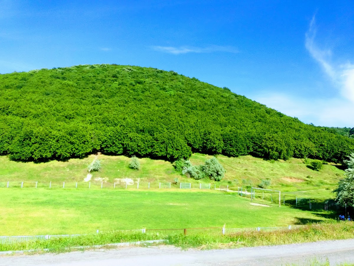 Tabăra Școlară din Babadag - foto 2