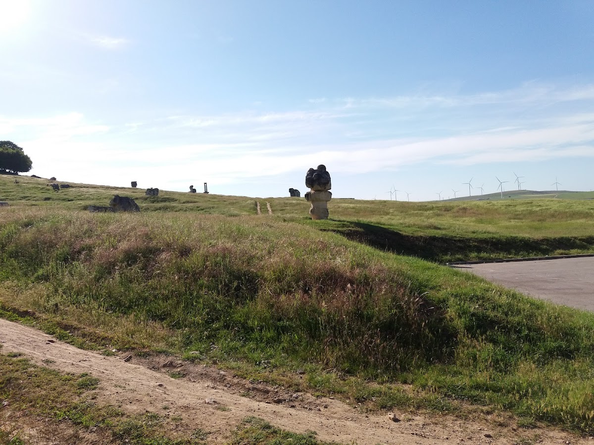 Tabăra Școlară din Babadag - foto 3