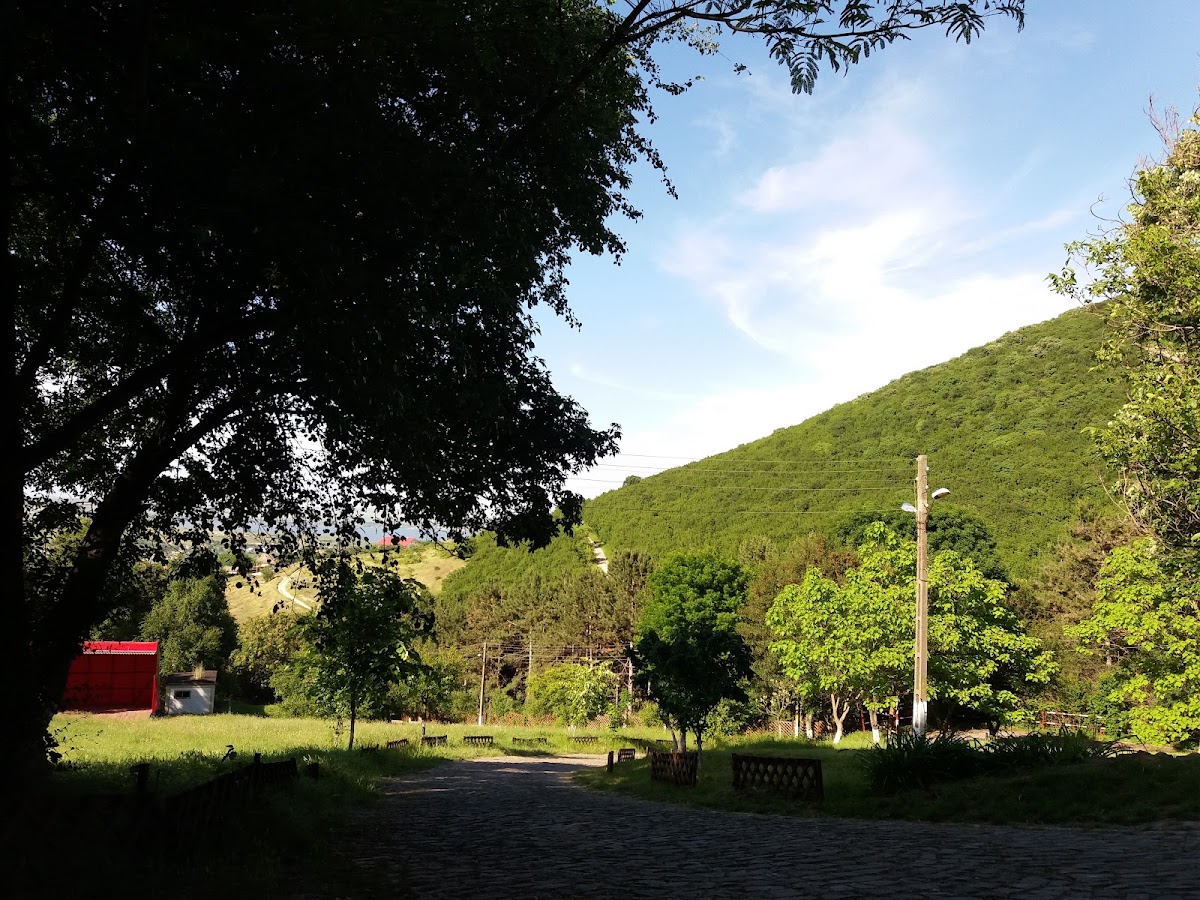 Tabăra Școlară din Babadag - foto 4