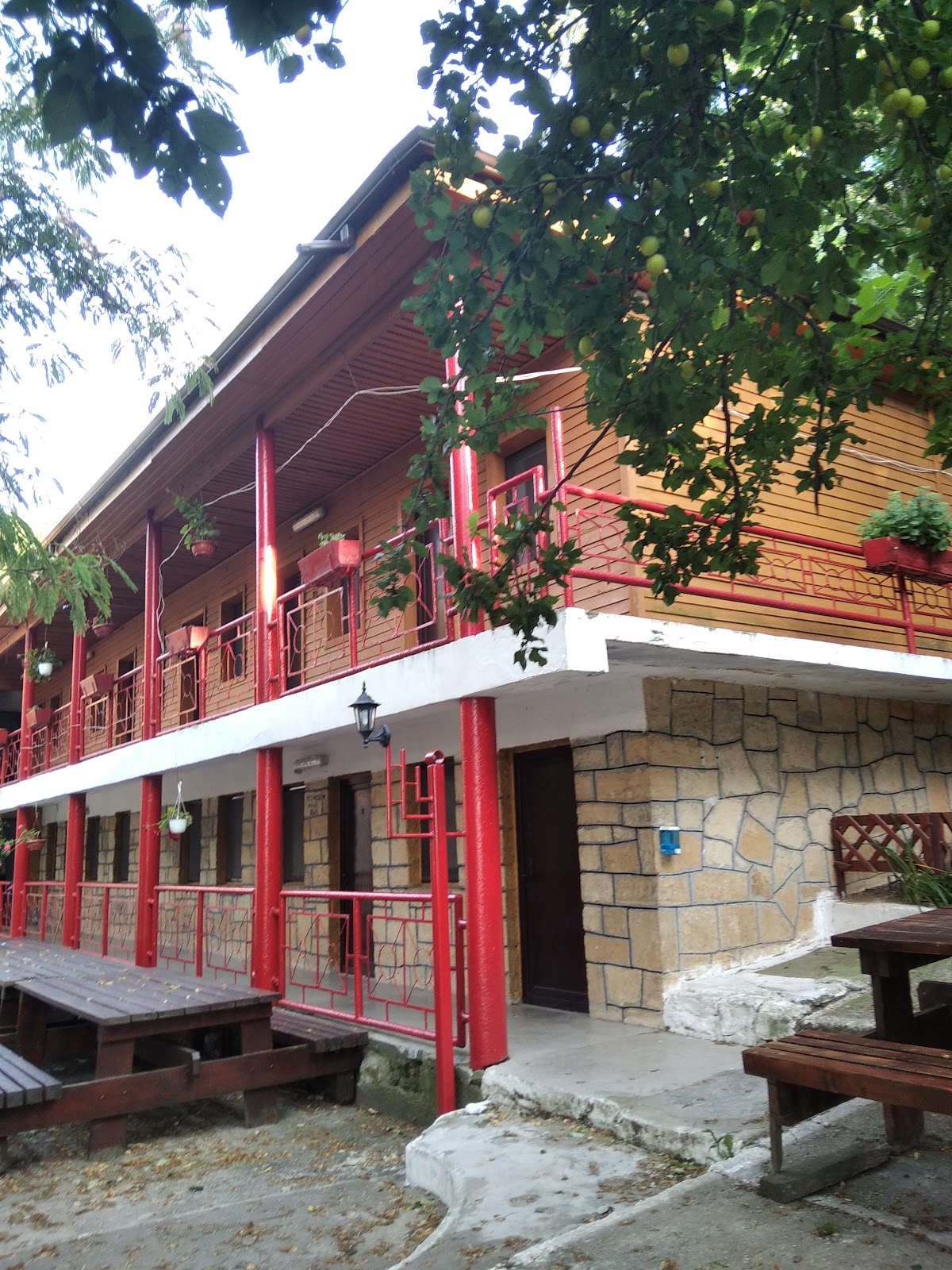 Tabăra Școlară din Babadag - foto 5