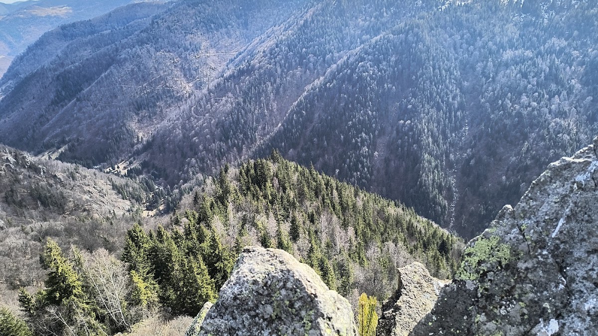 Ţâcla Gavrii - foto 2