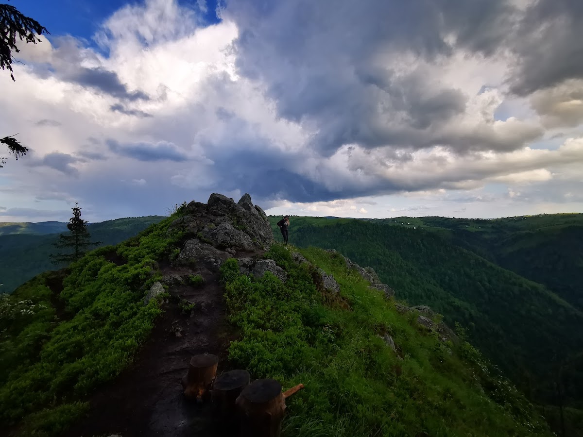 Ţâcla Gavrii - foto 3