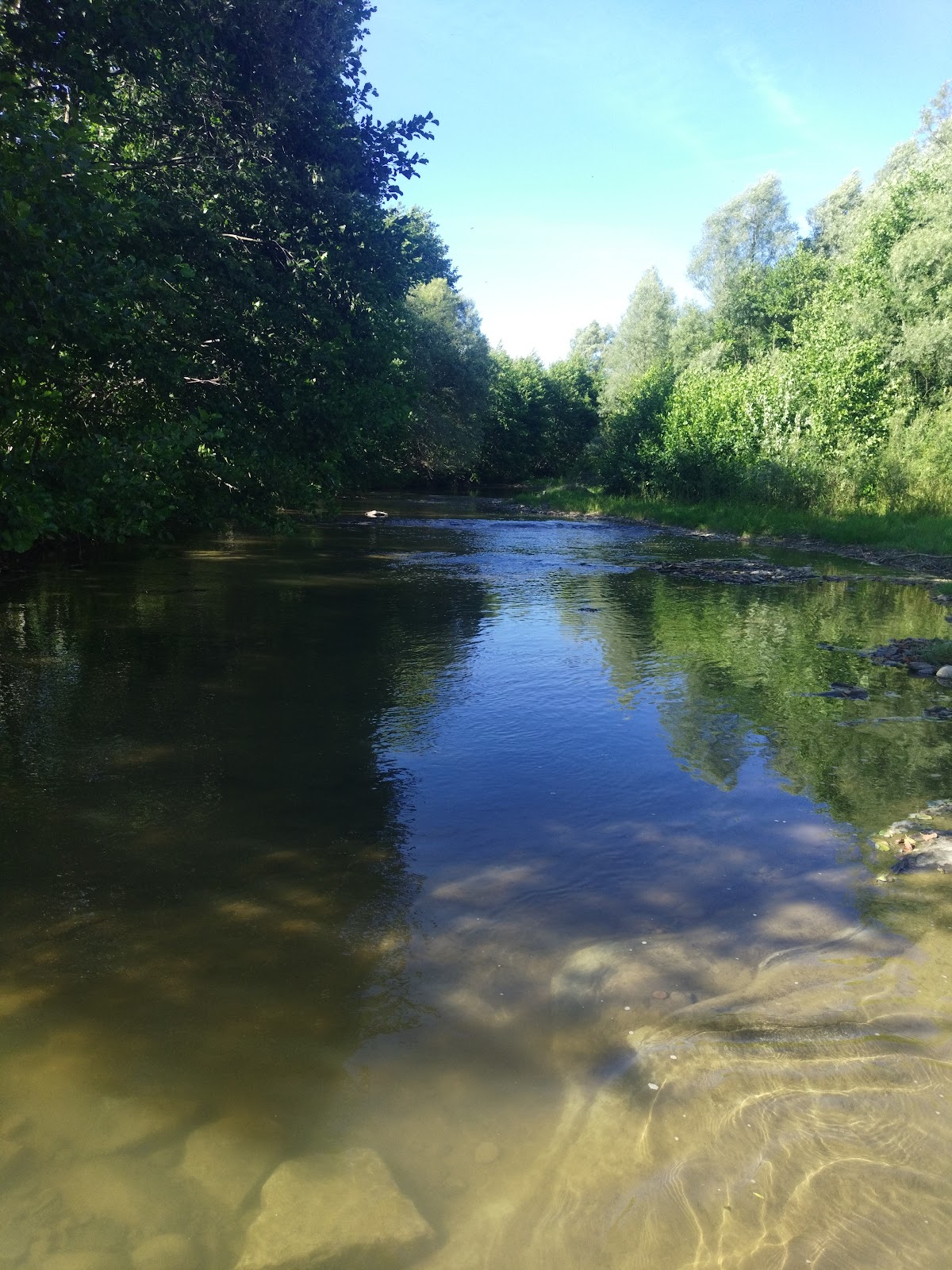 Țara Lăpușului - foto 2