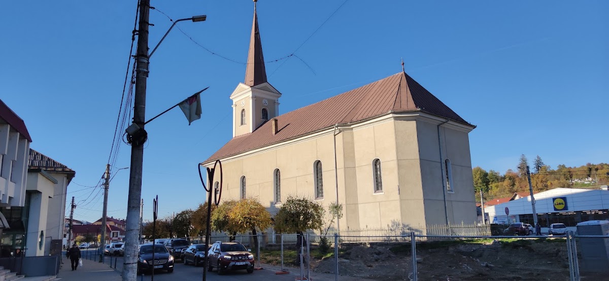 Țara Lăpușului - foto 3