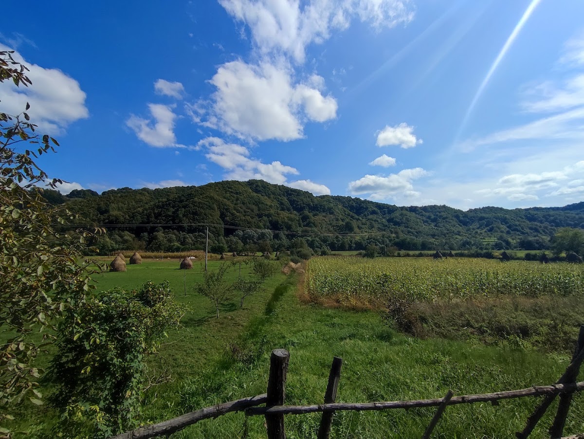 Țara Lăpușului - foto 4