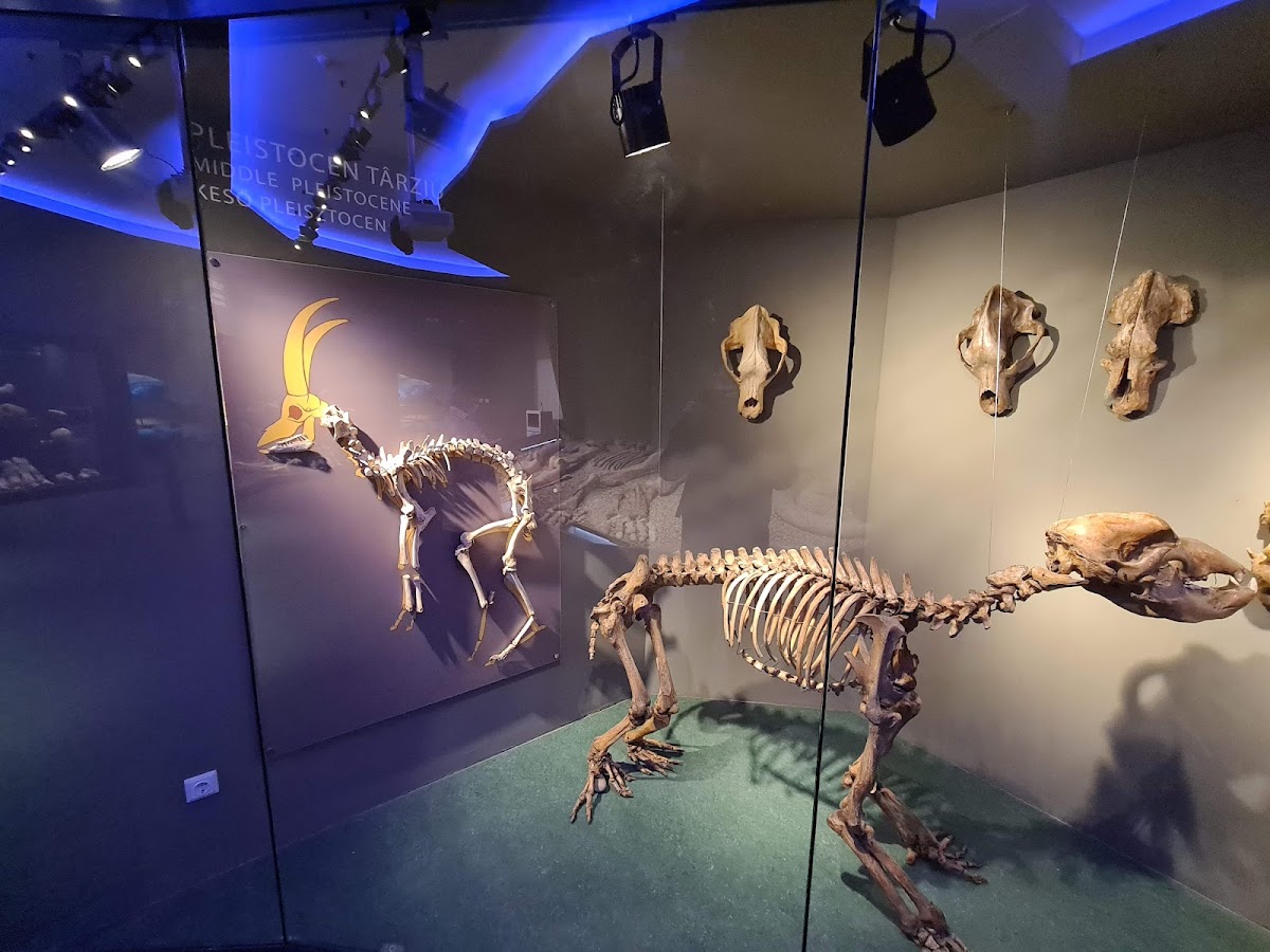 Musée Tarii Crisurilor - foto 4