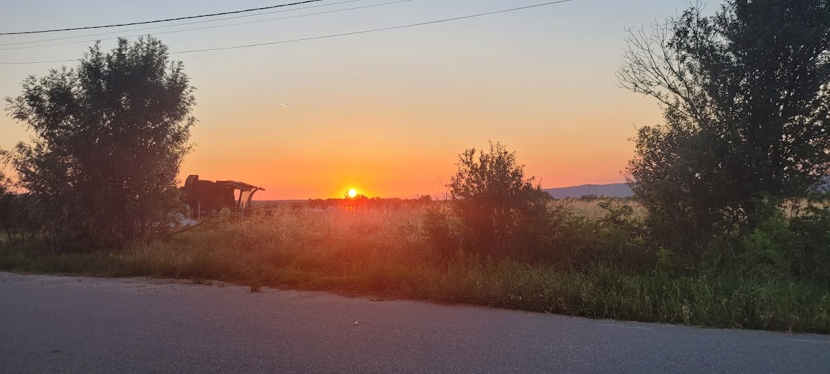 Tarsa - foto 2