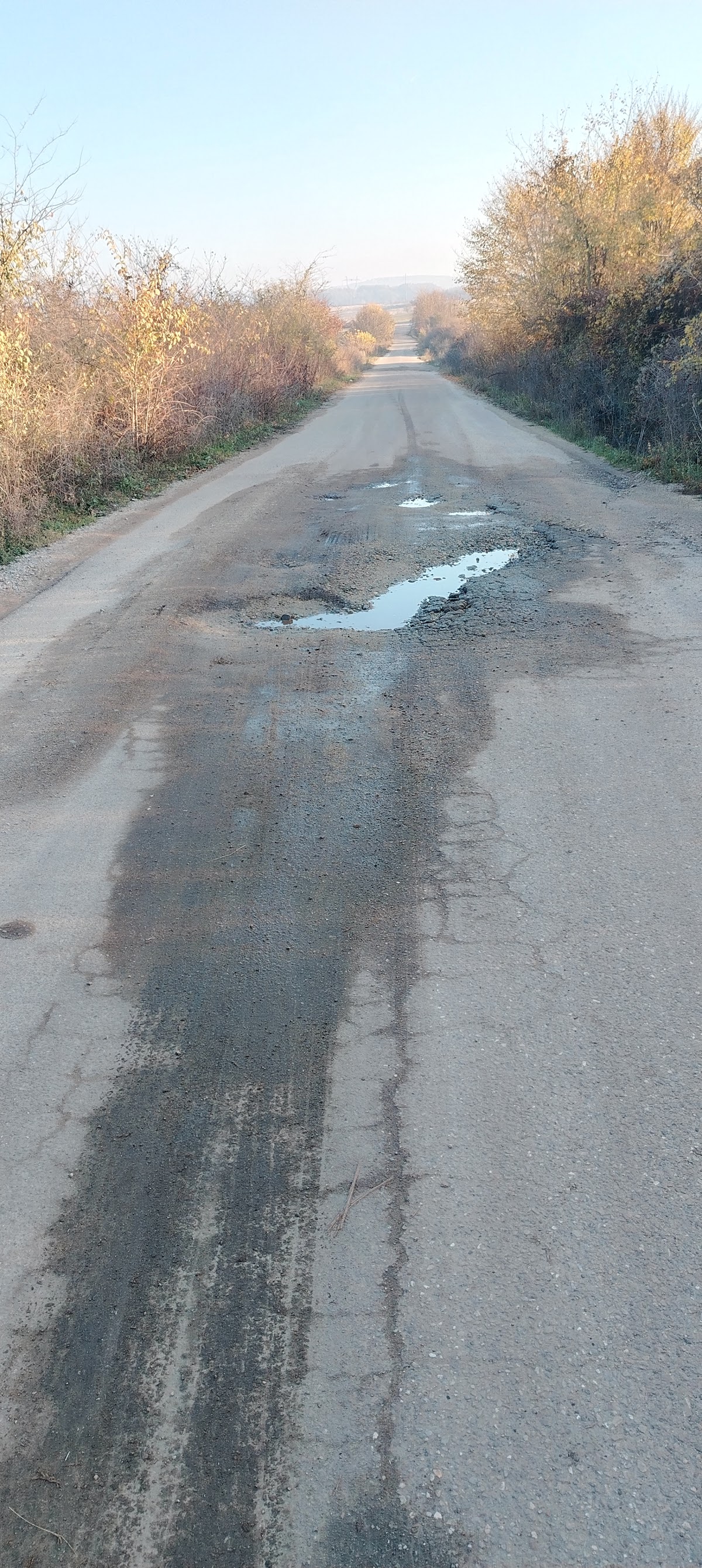 Tarsa - foto 3
