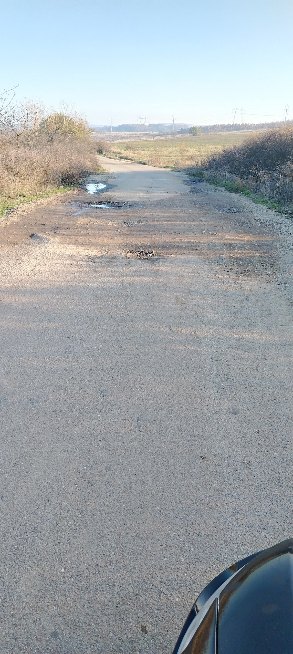Tarsa - foto 4