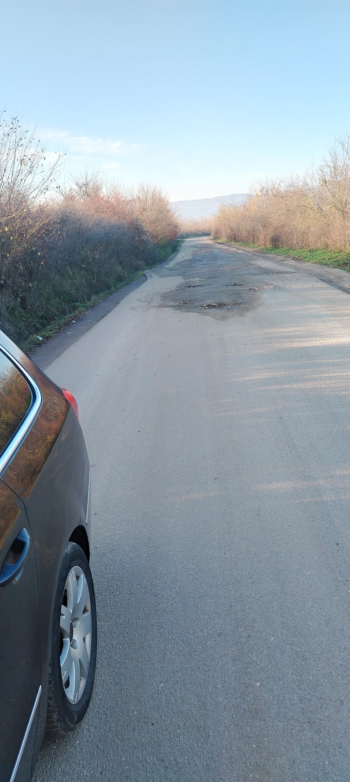 Tarsa - foto 5