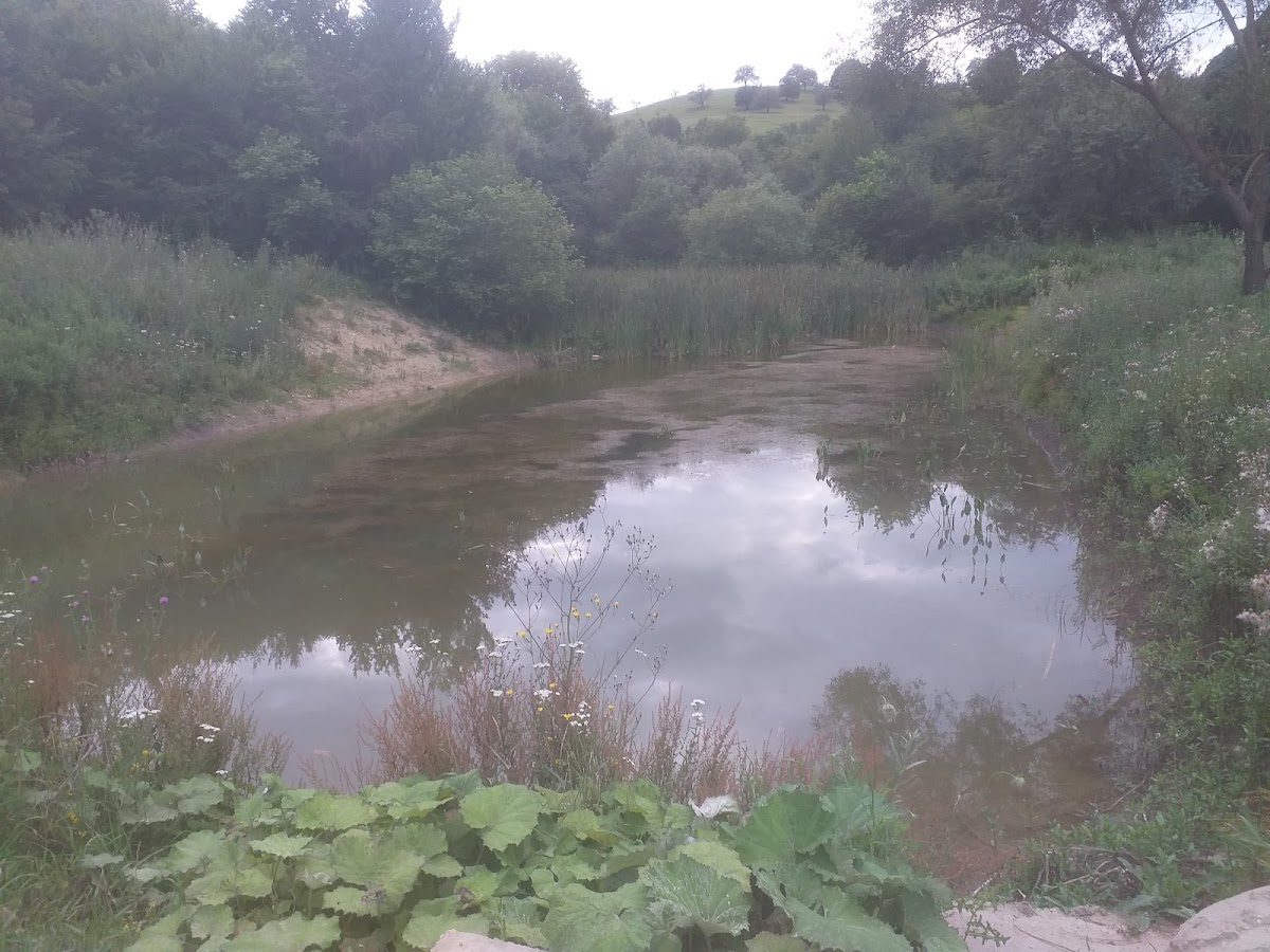 Tăul de la Gura Baciului - foto 3