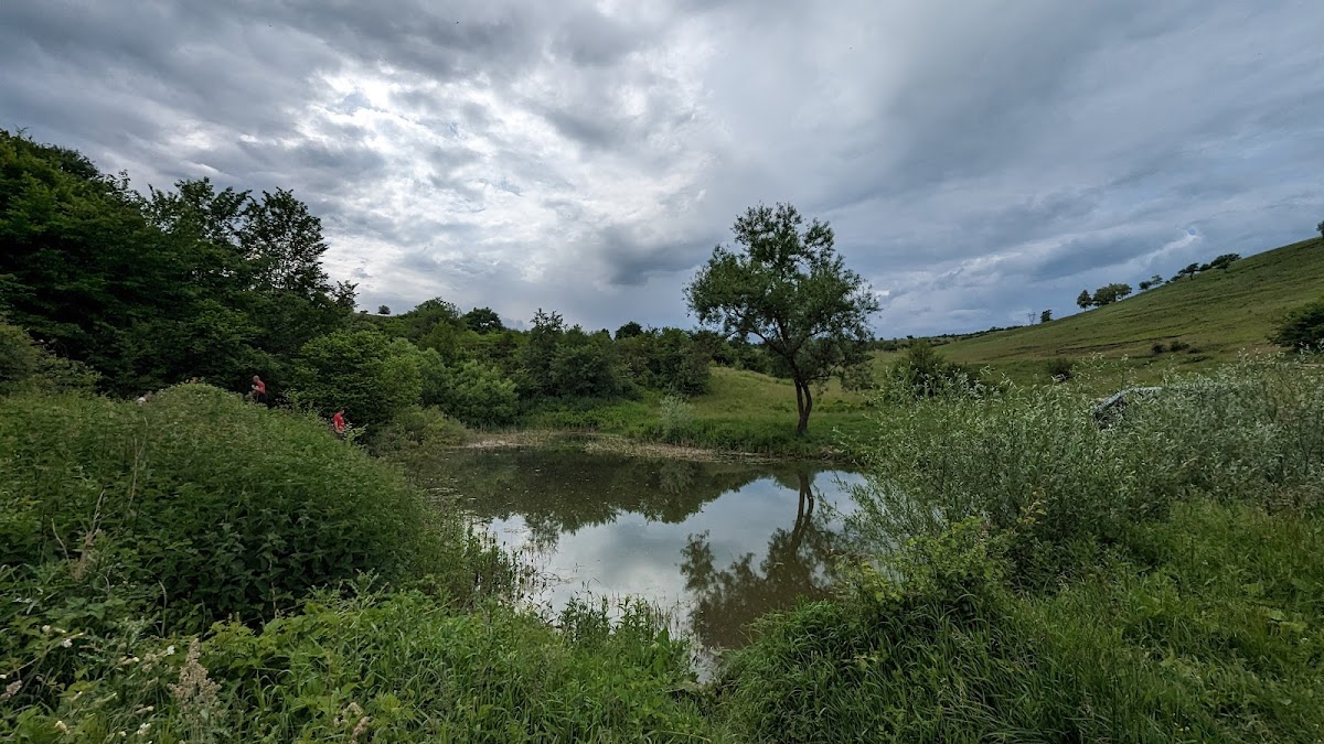 Tăul de la Gura Baciului - foto 5
