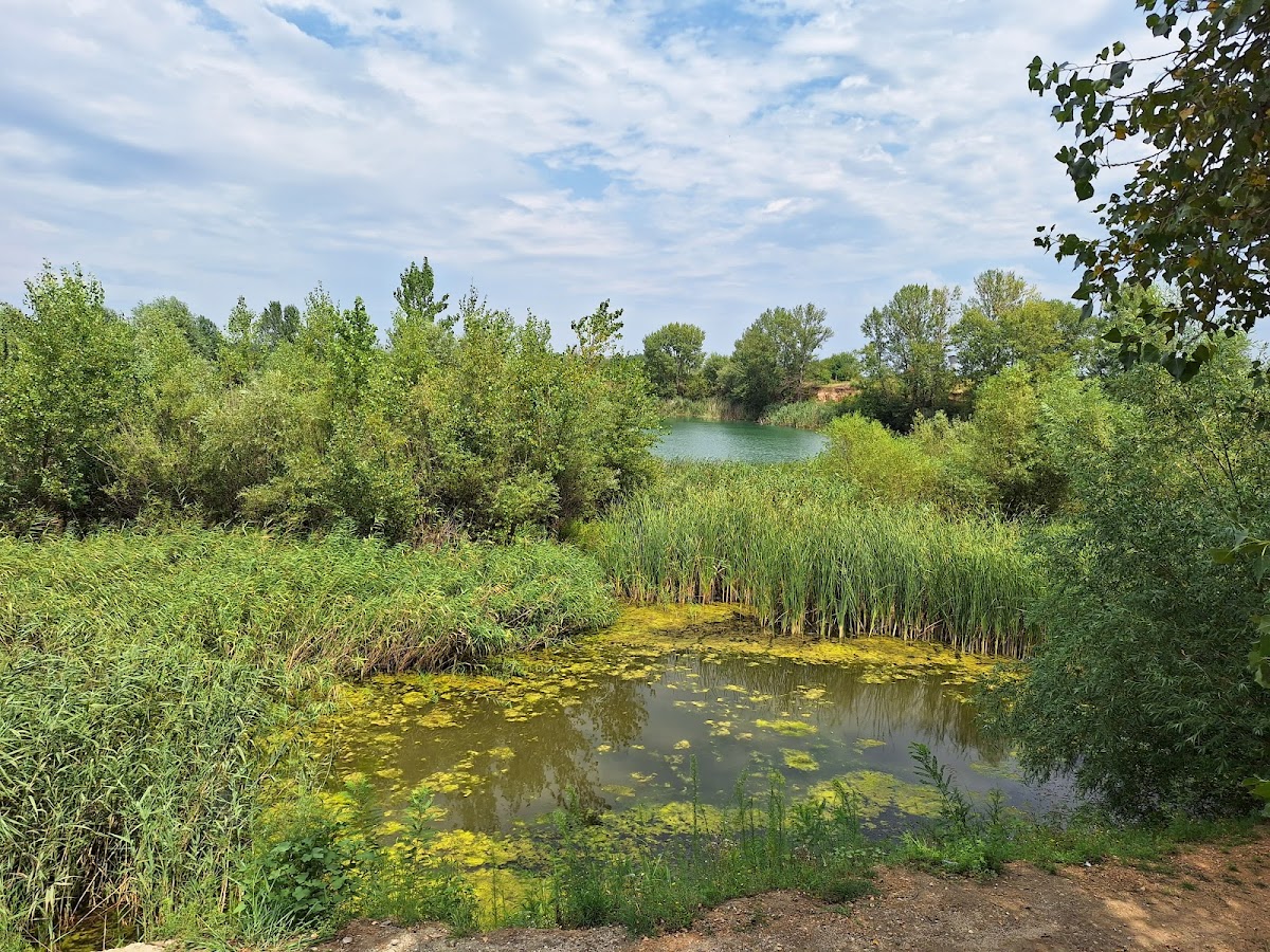 Taverna dei Pescatori - foto 3