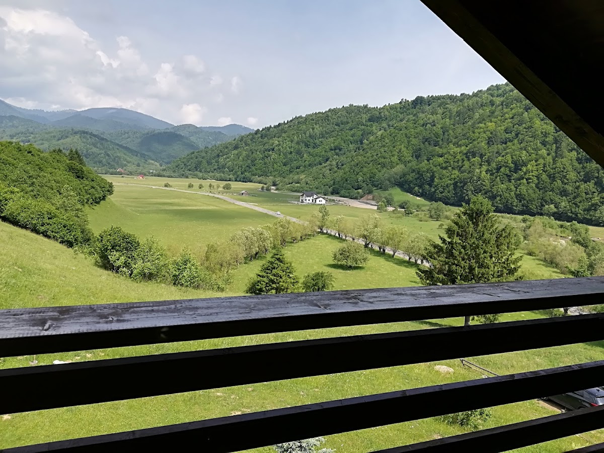 Taverna Pietrei Craiului - foto 4