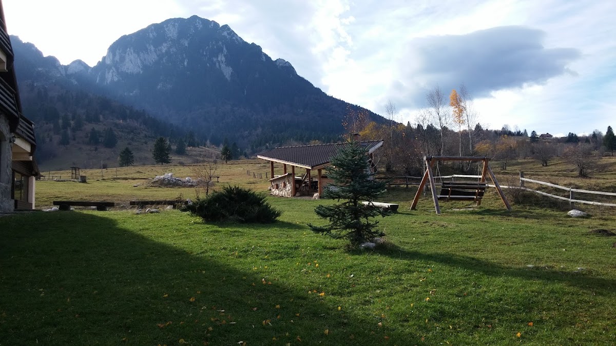 Taverna Pietrei Craiului - foto 5
