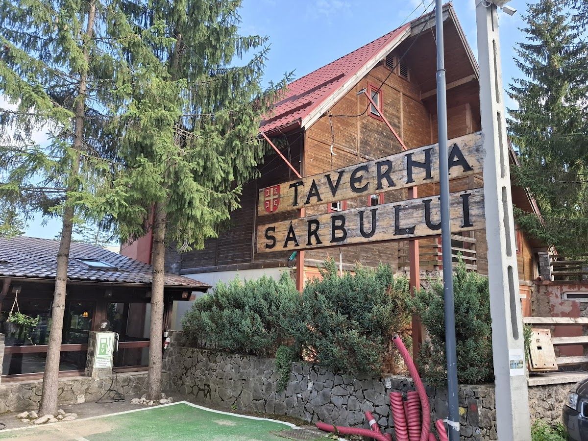 Taverna Sarbului - foto 5