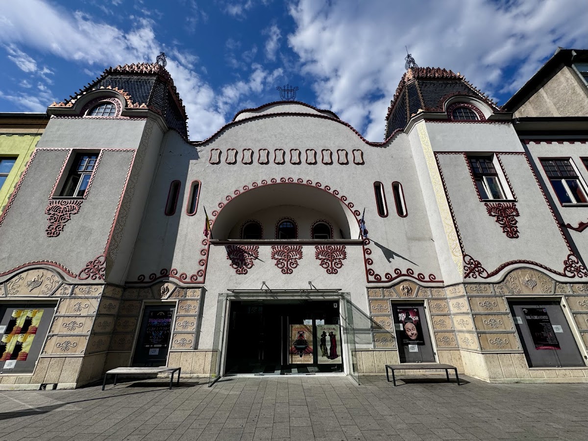 Teatrul de Artă Deva - foto 1