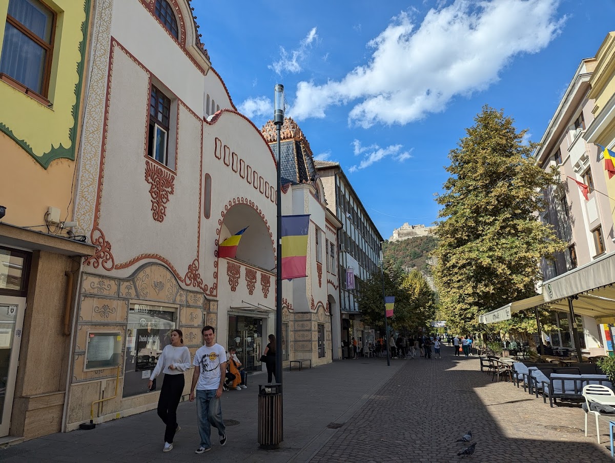 Teatrul de Artă Deva - foto 3