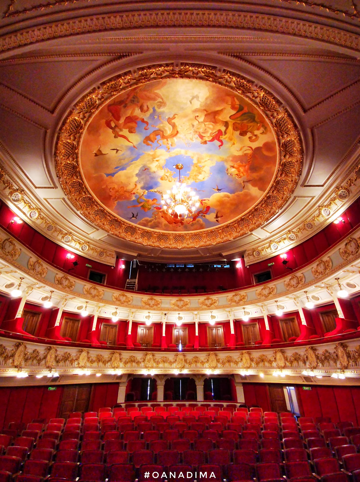 "Gheorghe Pastia" Városi Színház - foto 2