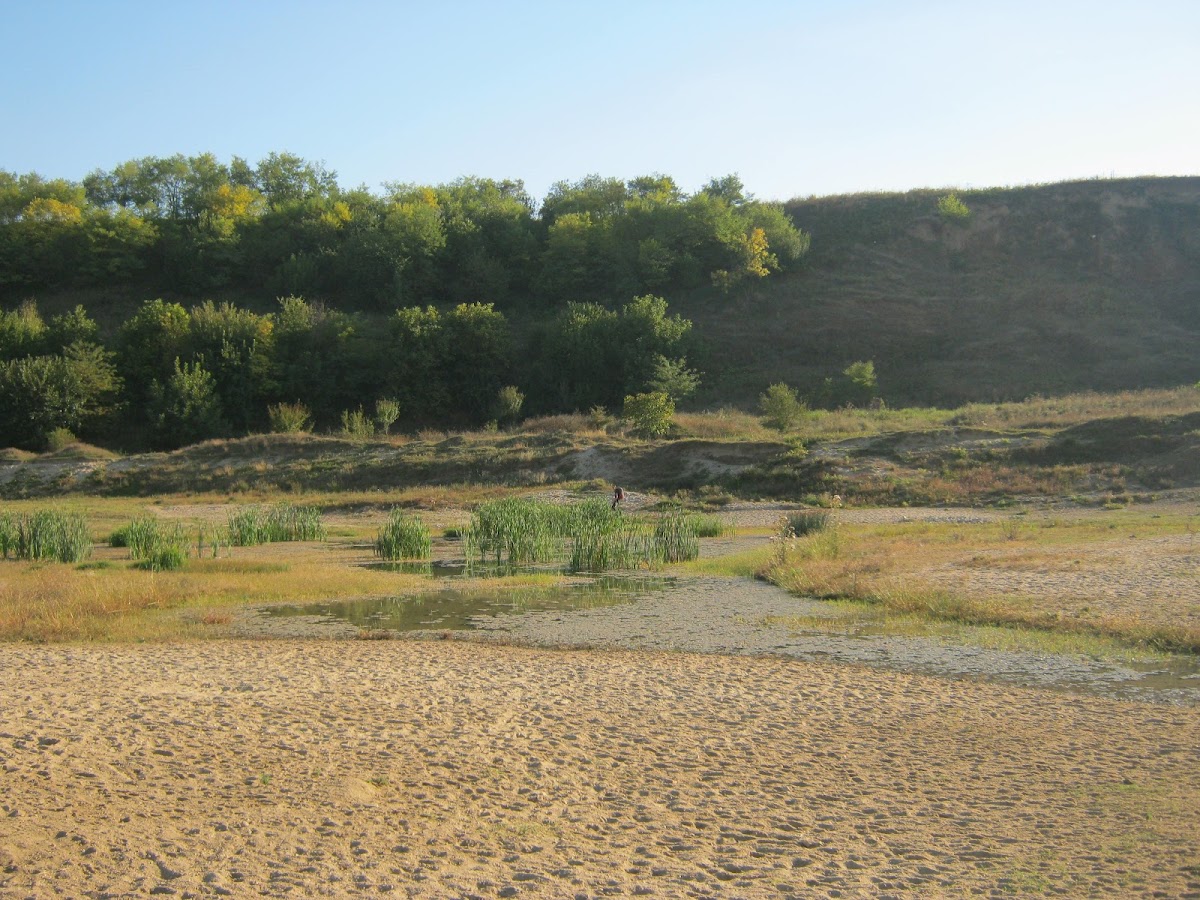 Teiuşu - foto 3