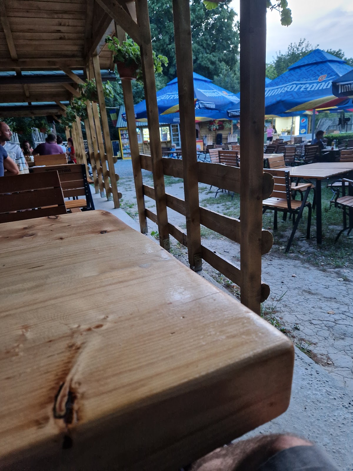 Terasa Cetățuia - foto 5