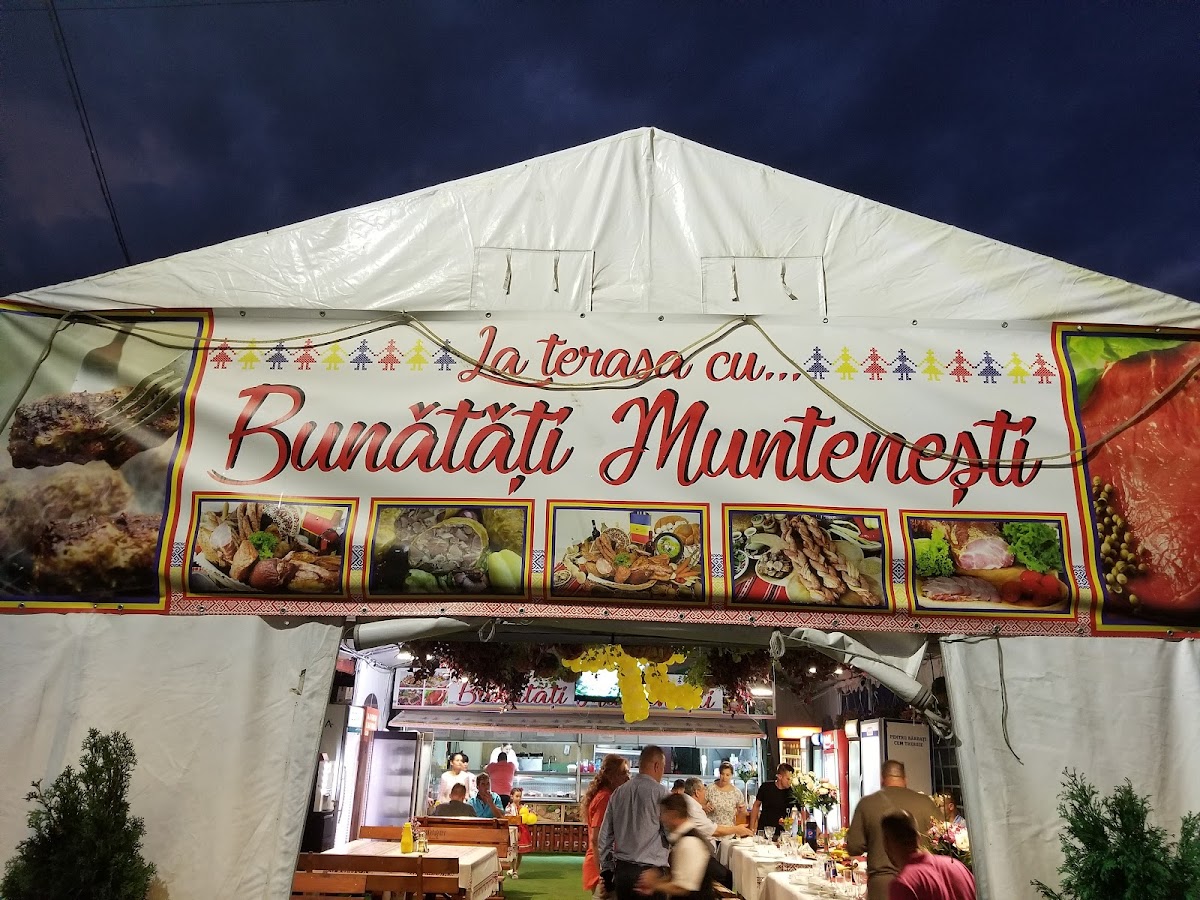 Terasa Cu Bunatati Muntenesti - foto 1