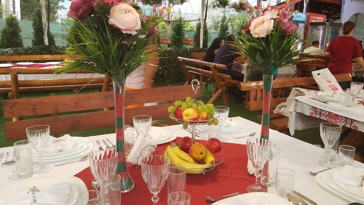 Terasa Cu Bunatati Muntenesti - foto 5