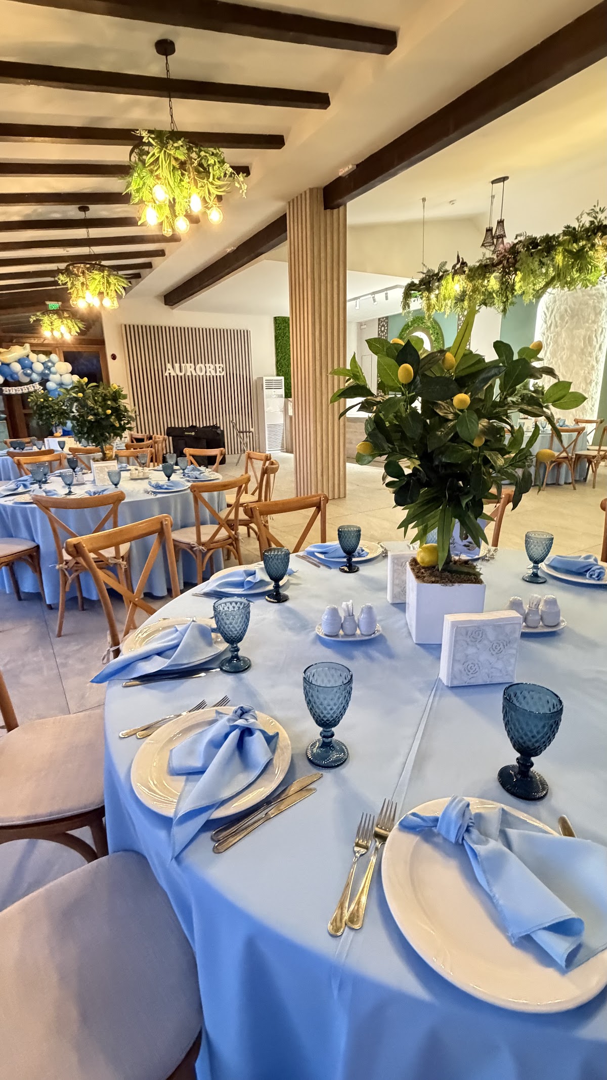 Terraza de Eventos Aurore - foto 5