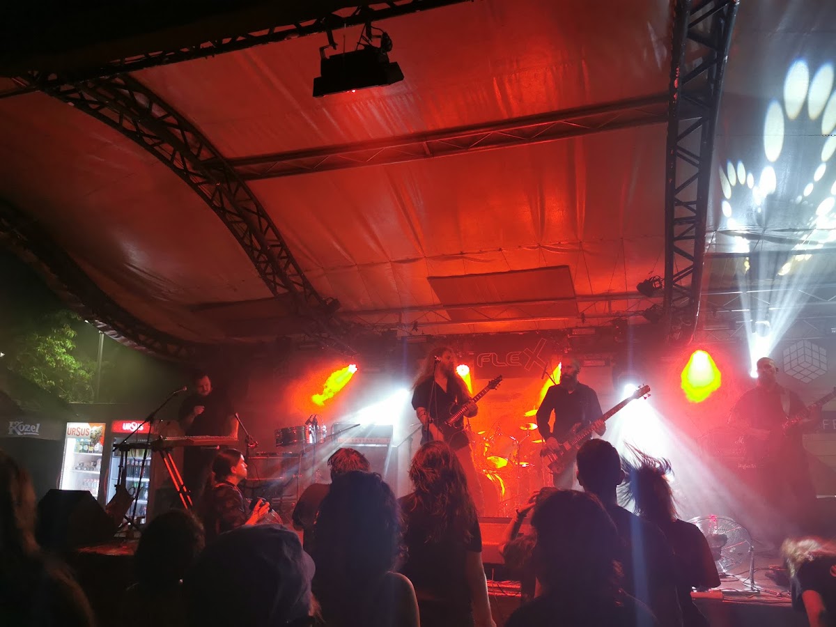 Terasa Flex, Arad