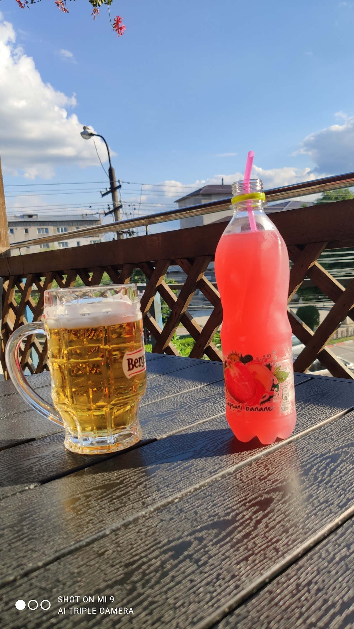 Terrasse "La Chitic" - foto 5