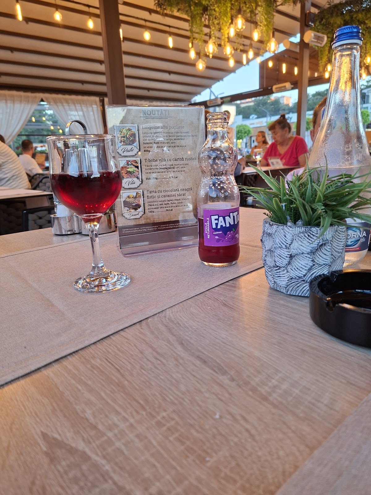 Terasa Restaurant Pizzerie Rustic Băile Felix - foto 5