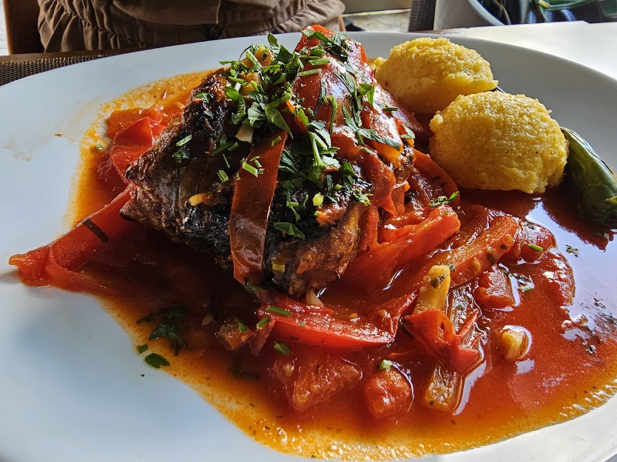 Terasa Royal - foto 2