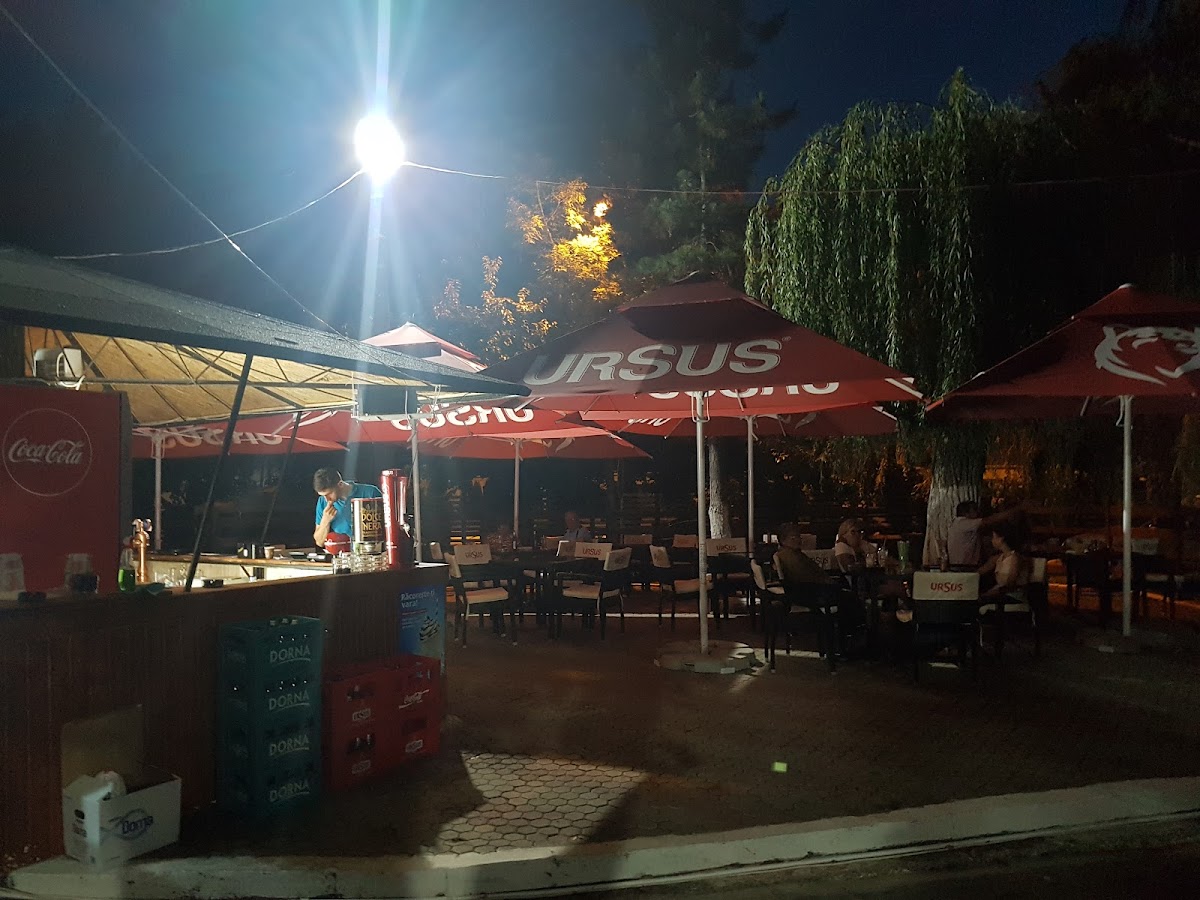 Terasa Sălcii - foto 2