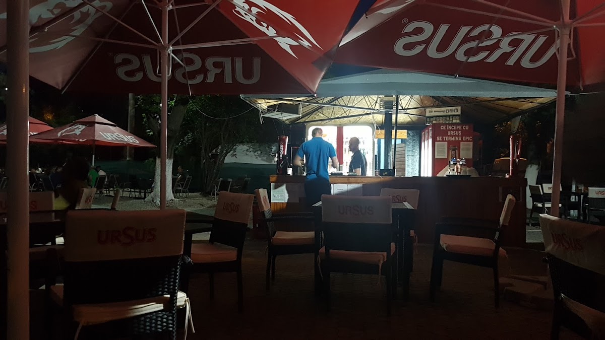 Terasa Sălcii - foto 3