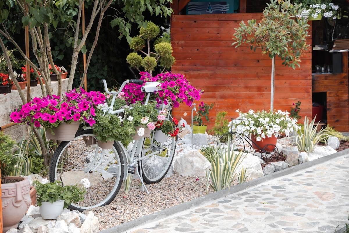 Tivoli Terasz - foto 5