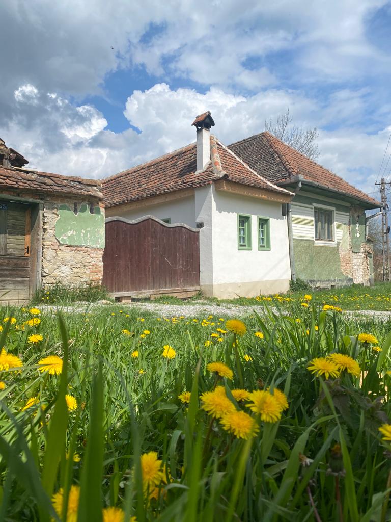 The Tiny House Transylvania & Chocolate Barn - foto 1